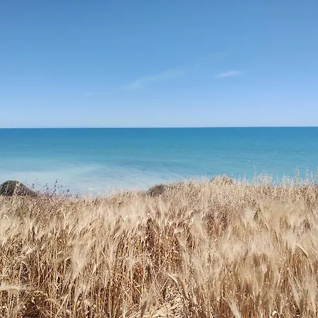 Atelier Terenzio, 24h Check In